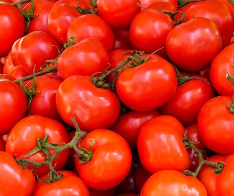 Madanapalli Tomato Seeds