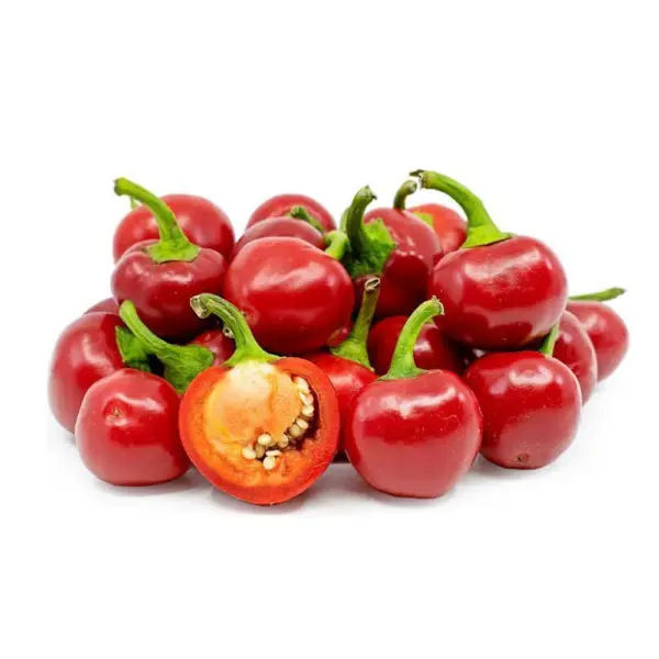 Red Bud Chilli Seeds